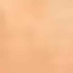 Profile photo of Jan Willmore